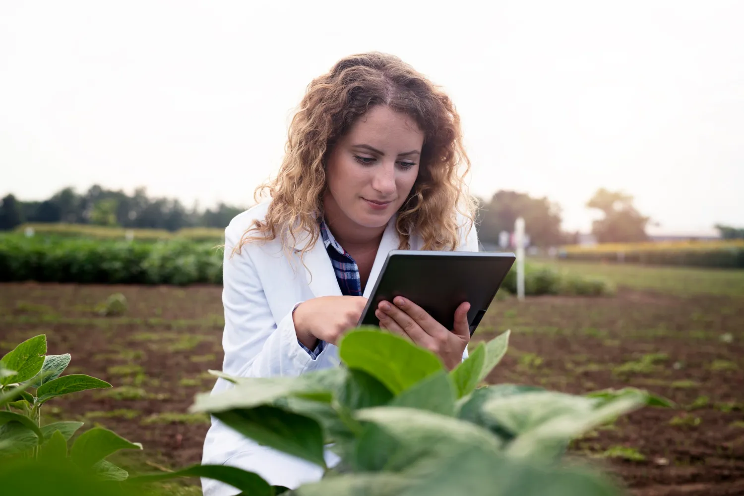 Diplomado en analítica agrícola con inteligencia artificial 1