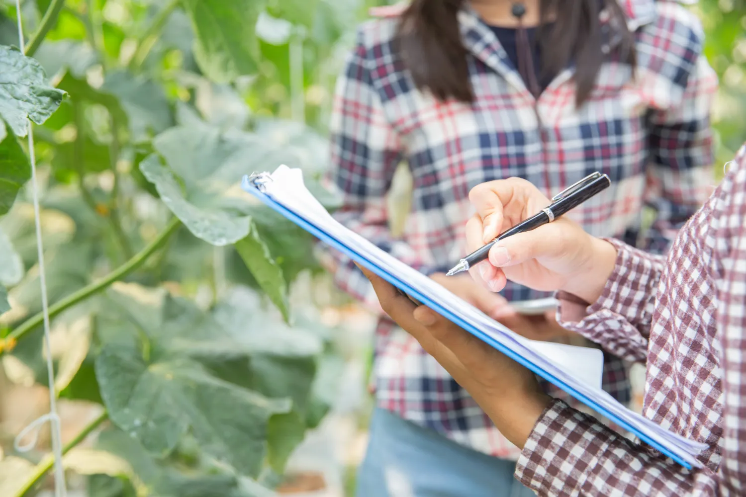 Diplomado en analítica agrícola con inteligencia artificial 3