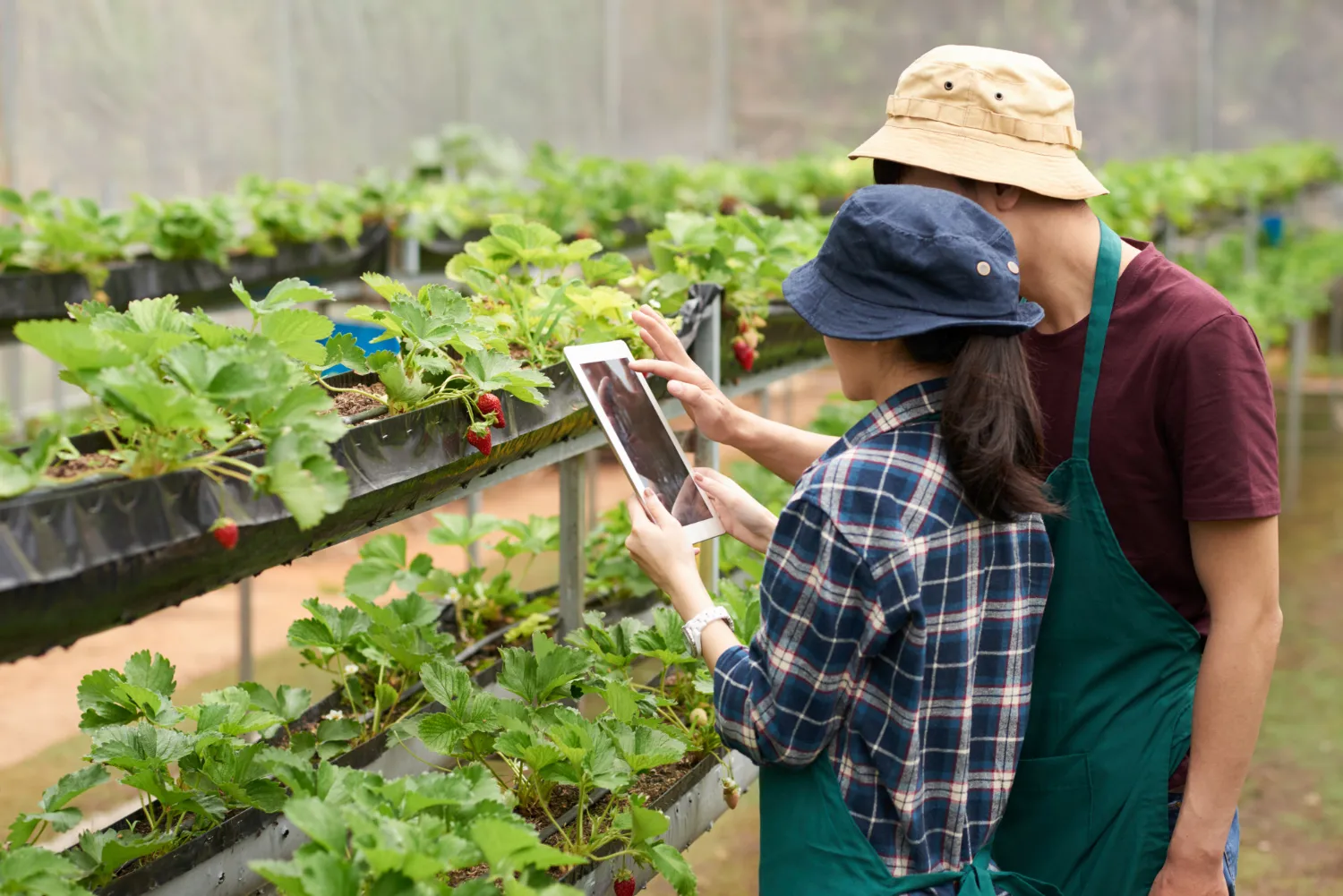Máster en AgriTech e inteligencia artificial 3
