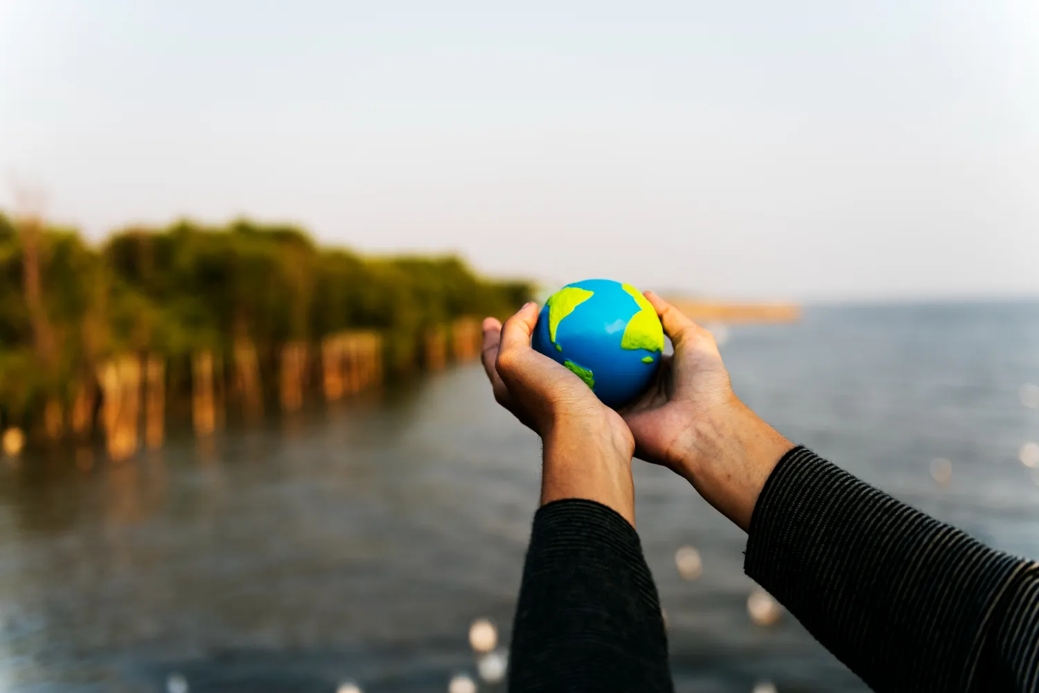 Curso de IA aplicada al cambio climático para principiantes 3