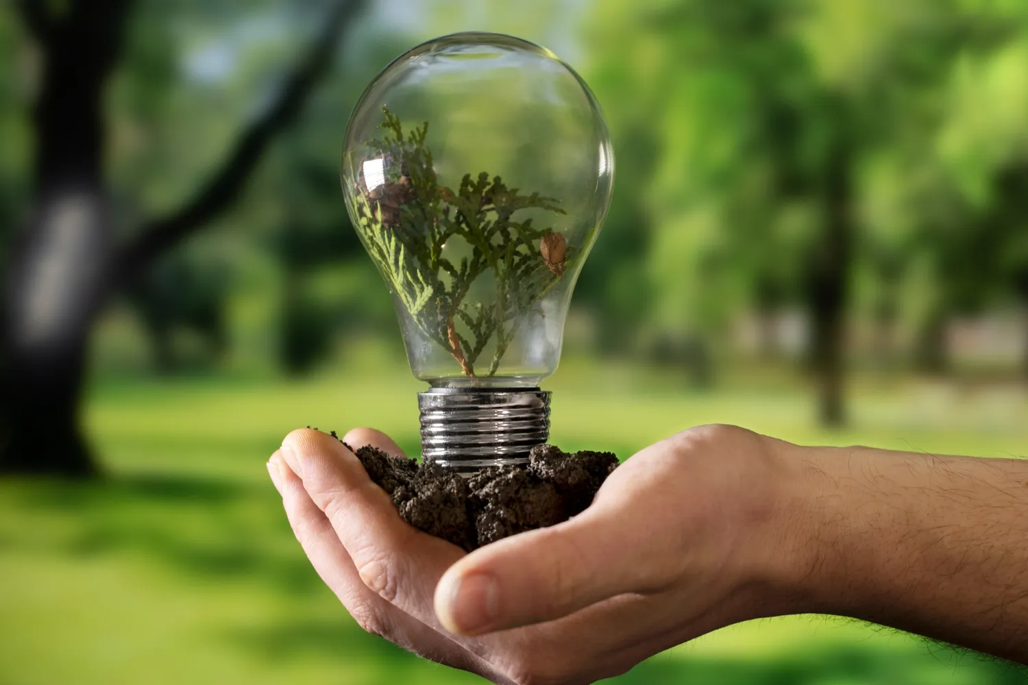 Curso de inteligencia artificial para eficiencia energética 3