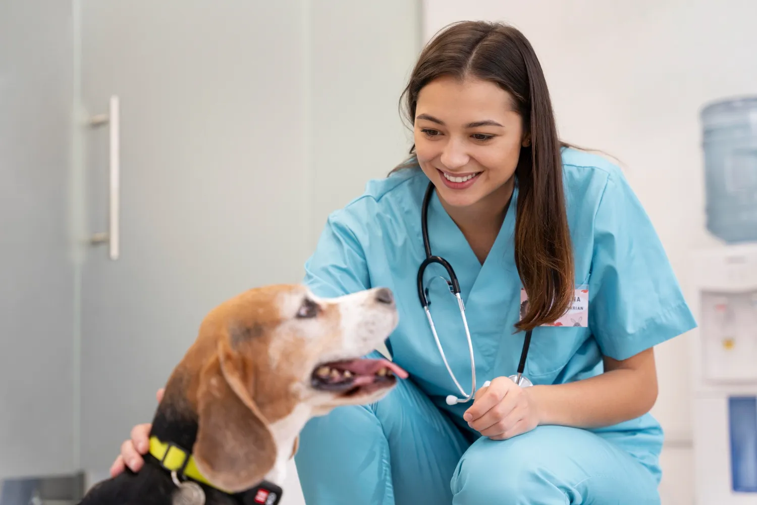 Máster en medicina veterinaria aumentada por IA 3